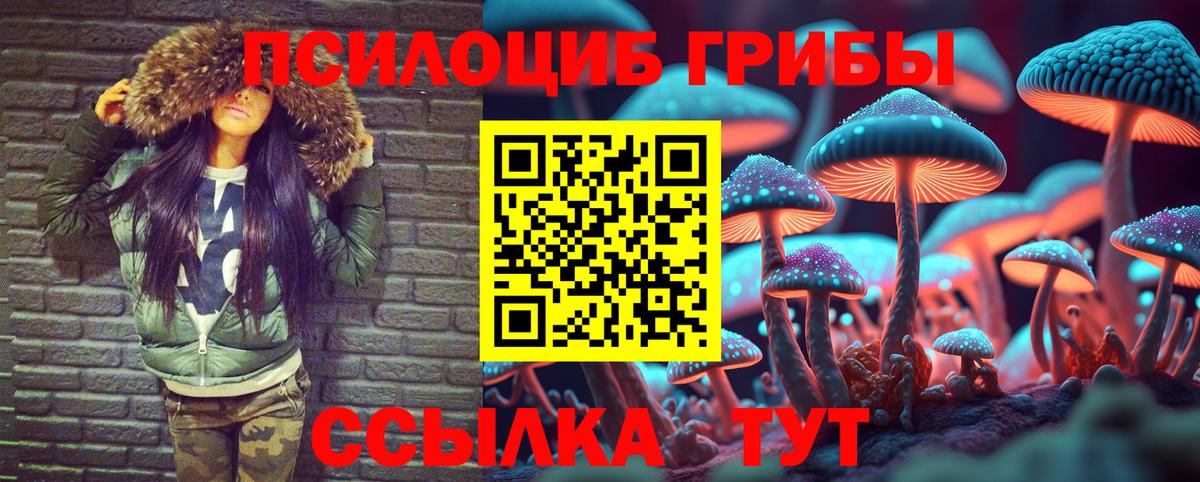 Симферополь  Псилоцибиновые грибы прущие грибы  Вход с VPN 